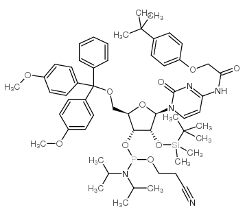 5’-O-(4,4-二甲氧基三苯甲基)-2’-O-[(叔丁基)二甲基硅基]-N-[[4-(叔丁基)苯氧基]乙酰基]胞苷-3’-(2-氰基乙基-N,N-二异丙基)亚磷酰胺结构式