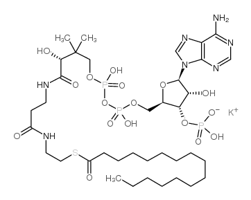 棕榈酰辅酶A,钾盐结构式