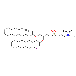 1-棕榈酰基-2-(16-氟棕榈酰基)-sn-甘油-3-磷酸胆碱结构式