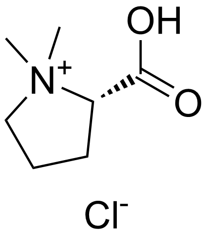 Stachydrine Hydrochloride structure