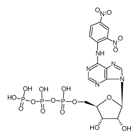 N6-(2,4-dinitro-phenyl)-O5'-(tetrahydroxy-[1]triphosphoryl)-adenosine Structure