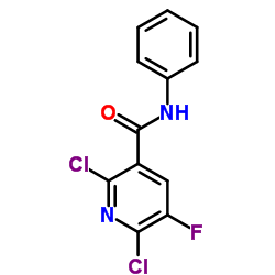 2,6-Dichloro-5-fluoro-N-phenylnicotinamide Structure