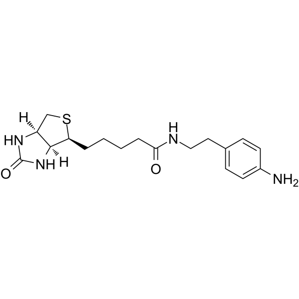 Biotin-aniline picture