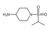 1-propan-2-ylsulfonylpiperidin-4-amine结构式