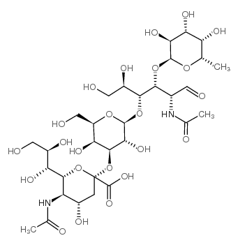唾液酸化酶X图片