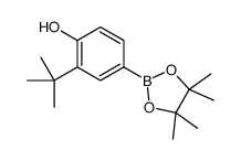 2-(tert-butyl)-4-(4,4,5,5-tetramethyl-1,3,2-dioxaborolan-2-yl)phenol结构式