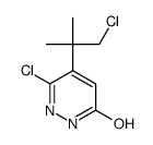 3-chloro-4-(1-chloro-2-methylpropan-2-yl)-1H-pyridazin-6-one Structure