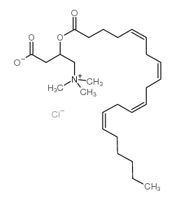 Arachidoyl-DL-carnitine chloride Structure