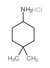 4,4-二甲基环己烷-1-氨基盐酸盐图片
