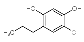 1,3-Benzenediol,4-chloro-6-propyl- Structure