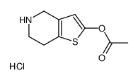 4,5,6,7-四氢噻吩并[3,2-c]吡啶-2-醇 2-乙酸酯盐酸盐结构式