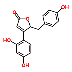 4-(2,4-二羟基苯基)-5-[(4-羟基苯基)甲基]-2(5H)-呋喃酮结构式