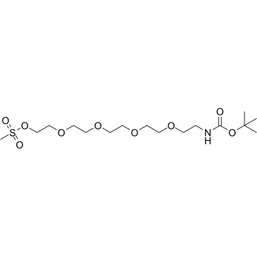 T-Boc-n-amido-peg5-ms Structure