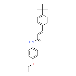 3-[4-(TERT-BUTYL)PHENYL]-N-(4-ETHOXYPHENYL)ACRYLAMIDE结构式