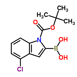 1-BOC-4-氯吲哚-2-硼酸结构式