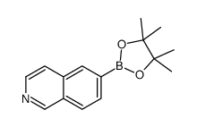 异喹啉-6-硼酸频哪醇酯结构式