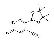 2-氨基-4-氰基吡啶-5-硼酸频那醇酯图片