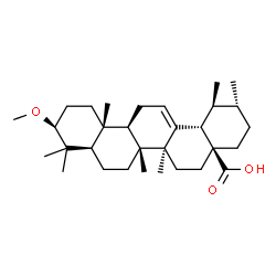 3-METHOXY-(3BETA)-URS-12-EN-28-OIC ACID结构式