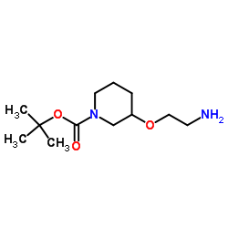 2-Methyl-2-propanyl 3-(2-aminoethoxy)-1-piperidinecarboxylate Structure