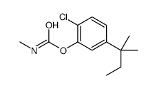 [2-chloro-5-(2-methylbutan-2-yl)phenyl] N-methylcarbamate Structure
