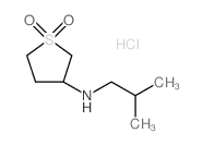 N-Isobutyltetrahydrothiophene-3-amine-1,1-dioxide hydrochloride Structure