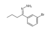 (1-(3-bromophenyl)butylidene)hydrazine Structure