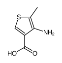 4-氨基-5-甲基噻吩-3-甲酸图片