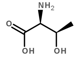 蛋白激酶A 来源于牛心脏结构式
