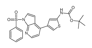 2-Methyl-2-propanyl {4-[1-(phenylsulfonyl)-1H-pyrrolo[2,3-b]pyrid in-4-yl]-2-thienyl}carbamate结构式