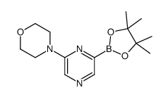 4-[6-(4,4,5,5-四甲基-1,3,2-二噁硼烷-2-基)吡嗪-2-基]吗啉结构式