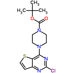 2-Methyl-2-propanyl 4-(2-chlorothieno[3,2-d]pyrimidin-4-yl)-1-piperazinecarboxylate Structure