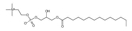 myristoyllysophosphatidylcholine Structure