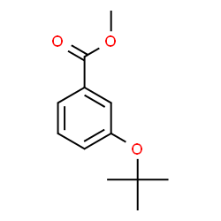 3-(叔丁氧基)苯甲酸甲酯结构式