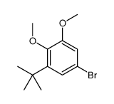 5-bromo-1-tert-butyl-2,3-dimethoxybenzene Structure