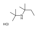 2-methylbutan-2-yl-tert-butyl-azanium chloride Structure