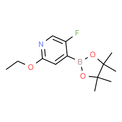 5-Fluoro-2-(ethoxy)-pyridine-4-boronic acid pinacol ester Structure