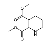 dimethyl piperidine-2,3-dicarboxylate Structure