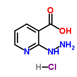 2-肼基烟酸结构式