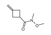 N-methoxy-N-methyl-3-methylidenecyclobutane-1-carboxamide Structure