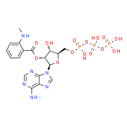 2'-O-(N-methylanthraniloyl)ATP Structure
