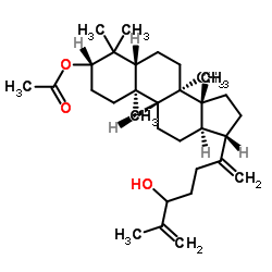 3-乙酰氧基-24-羟基达玛-20,25-二烯图片