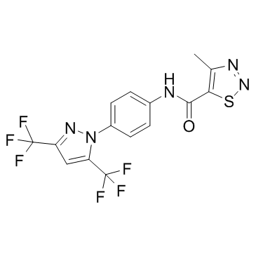 YM-58483 structure