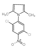 1-(2,5-二氯-4-硝基苯基)-2,5-二甲基-1H-吡咯结构式