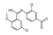 5-chloro-N-(2-chloro-4-nitrophenyl)-2-methoxybenzamide结构式