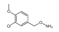 O-[(3-chloro-4-methoxyphenyl)methyl]hydroxylamine结构式
