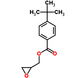 4-叔丁基苯甲酸缩水甘油酯结构式