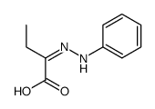 2-(phenylhydrazinylidene)butanoic acid Structure