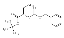 (S)- 3 -氨基- 2 -羰基氨基丙酸叔丁酯结构式