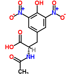 乙酰辅酶A合成酶 来源于面包酵母(酿酒酵母)结构式