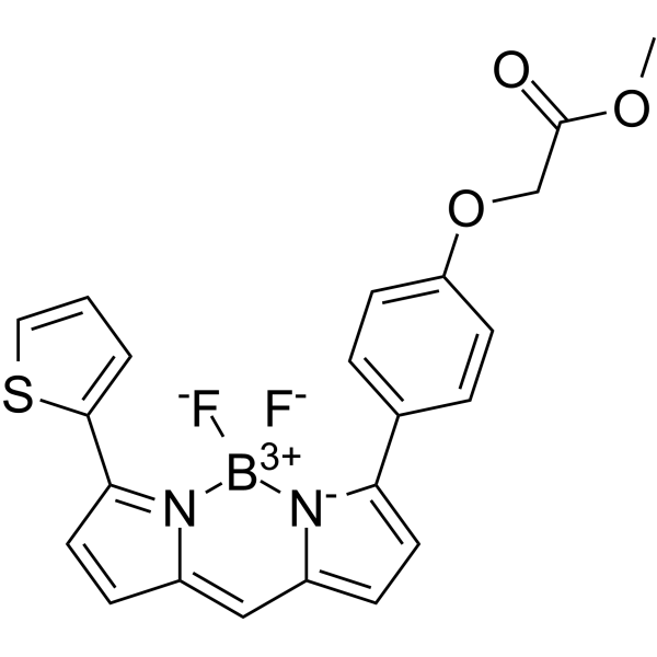 BODIPY TR methyl ester Structure